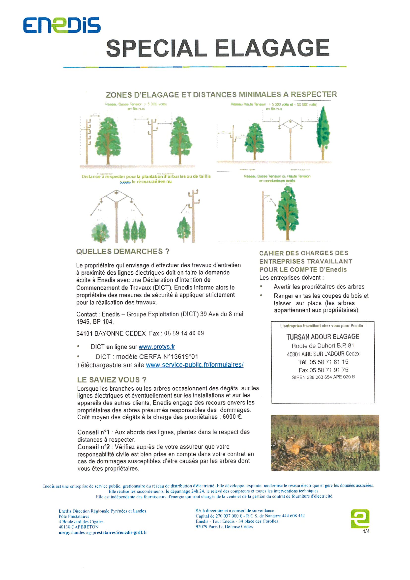 Elagage arbres proches des lignes lectriques Page 3